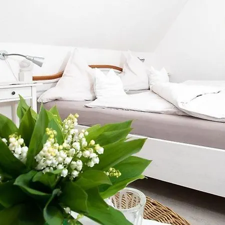 Апартаменты Haus Delphin