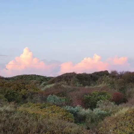 Lägenhet Haus Delphin
