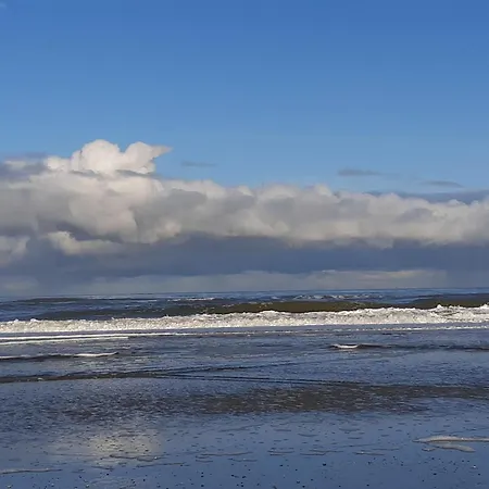 Апартаменты Haus Delphin *