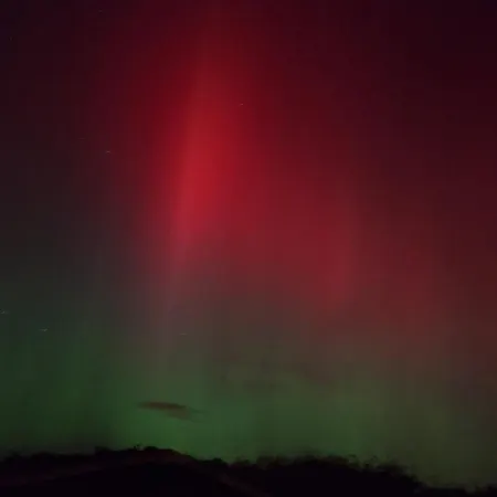 Haus Delphin Йюст