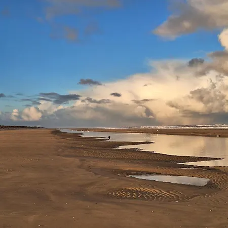 Lägenhet Haus Delphin *